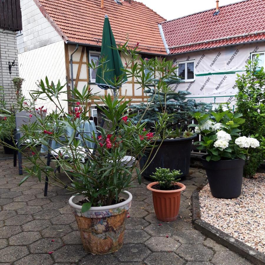 Ferienwohnung Am Berge Wolfshagen  外观 照片
